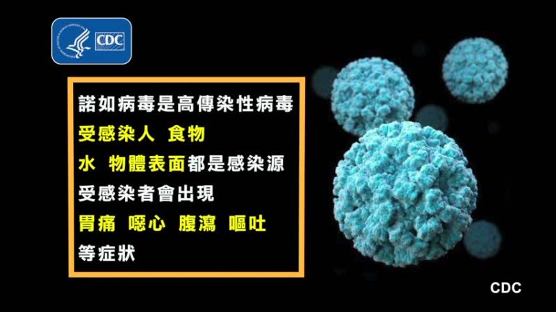 美名校爆诺如病毒 纽约州50学生染病