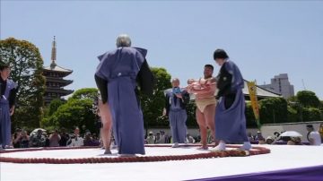 日本“哭泣相扑”仪式  祈福婴儿健康成长