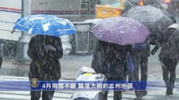 4月飞雪不断 飘落大纽约三州地区