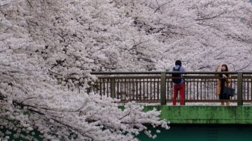 日本明年起開徵出境稅 每人1000日圓