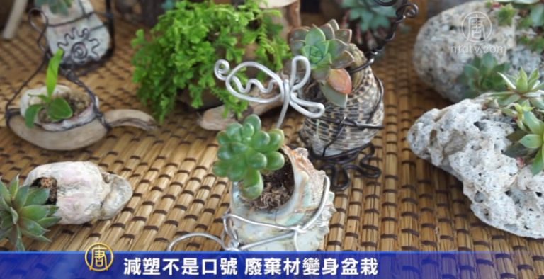 減塑不是口號 廢棄材變身盆栽