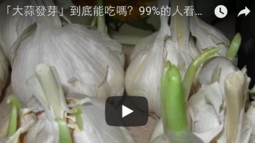 “大蒜发芽”到底能吃吗？哪些东西发芽不能吃！一定要知道！