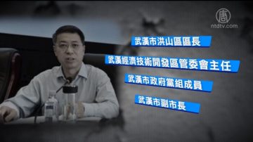 湖北武漢副市長李忠落馬