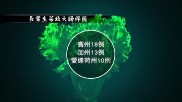 生菜感染大腸桿菌 加州報告第一例死亡