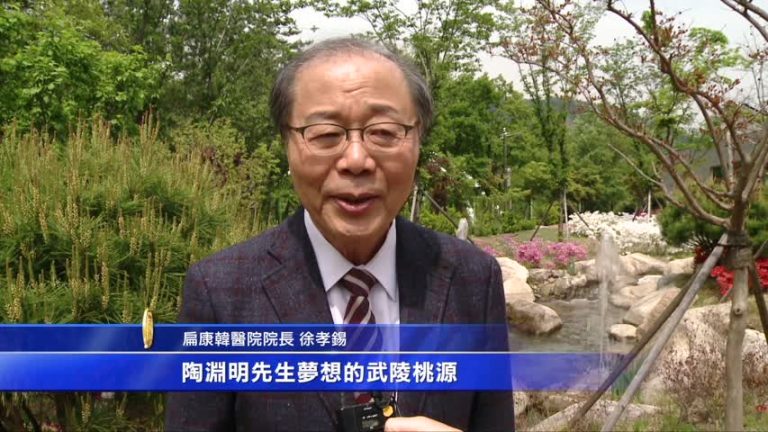 扁康武陵桃源胎動韩国