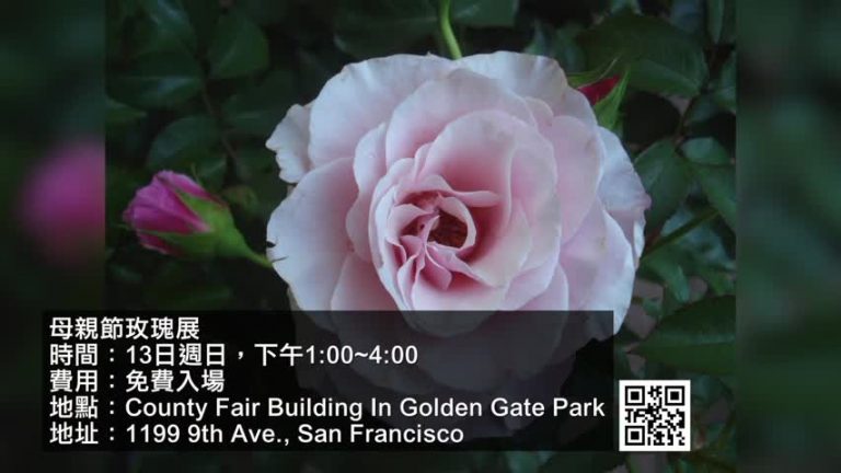 【灣區週末好去處】18年5月第2期