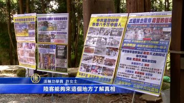 嘉义学员齐聚阿里山 庆祝大法传世26周年