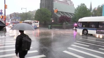 美東北風暴 紐約多處倒樹停電 降雨持續到週六