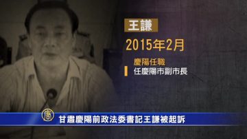 甘肃庆阳前政法委书记王谦被起诉