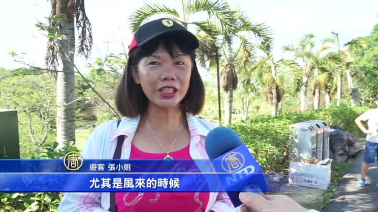 烏山頭水漾風車嘉年華 壩頂上好「風」光