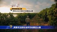 5月29日财经速瞄