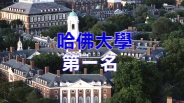 世界大學排名 哈佛大學蟬聯第一