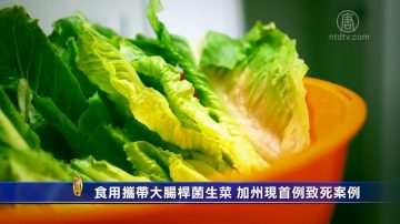 食用攜帶大腸桿菌生菜 加州現首例致死案例