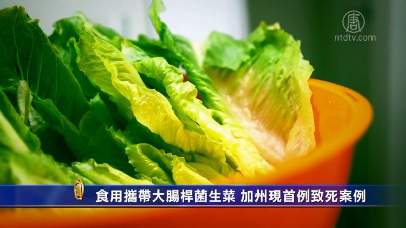 食用攜帶大腸桿菌生菜 加州現首例致死案例