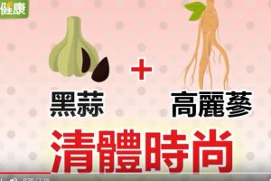 中醫師推薦：黑蒜＋高麗蔘 韓國流行的清體双星（視頻）