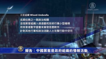 【禁闻】报告：中国黑客是政府组织的情报活动