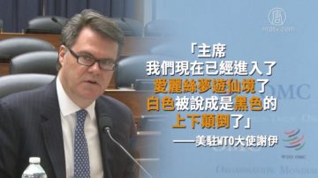 【禁闻】WTO再交锋 美大使：中共把白说成黑