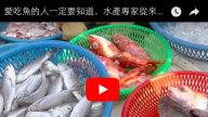愛吃魚的人一定要知道，水產專家從來不吃這4種魚，很可能你家餐桌上就有，再便宜也別買！