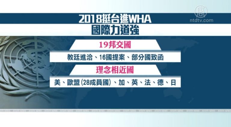 G7大咖也幫忙！這些國家為台灣入WHA發聲