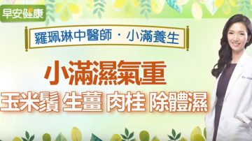 小滿養生抗體濕 玉米鬚、生薑、肉桂來幫忙（視頻）