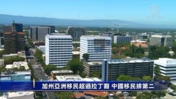 5月23日湾区简讯