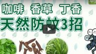 天然防蚊物这样做最有效（视频）