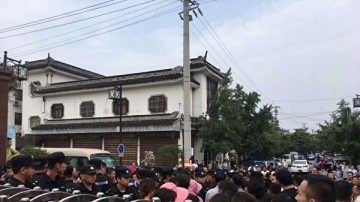 太湖禁养大闸蟹 渔民讨说法被抓