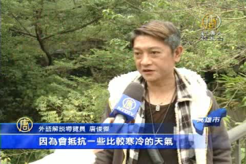 冬季茂林賞蝶趣 元旦連假上看4千人潮