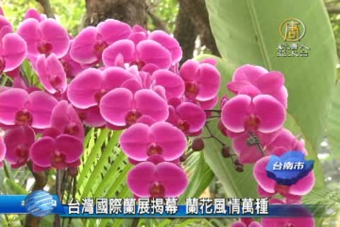 台灣國際蘭展揭幕 蘭花風情萬種