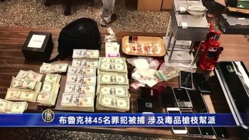 布魯克林45名罪犯被捕 涉及毒品槍枝幫派