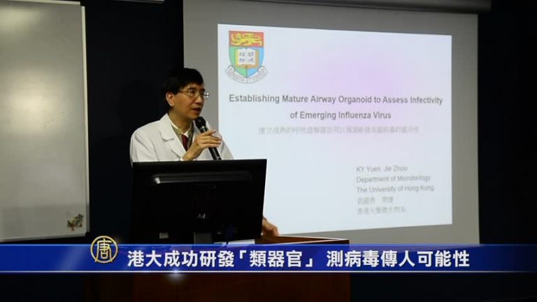 港大成功研發「類器官」 測病毒傳人可能性
