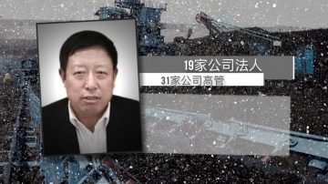 陝西前首富高乃則被查 榆林前書記落馬