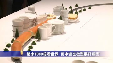 缩小1000倍看世界！田中达也微型展好疗愈