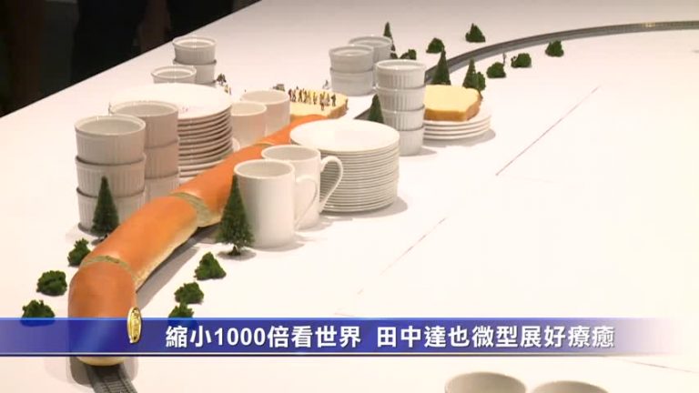 縮小1000倍看世界！田中達也微型展好療癒
