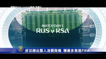 世足踢出驚人消費商機 賺最多竟是FIFA！