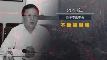 吉林四平前副市长王宇等三人被起诉