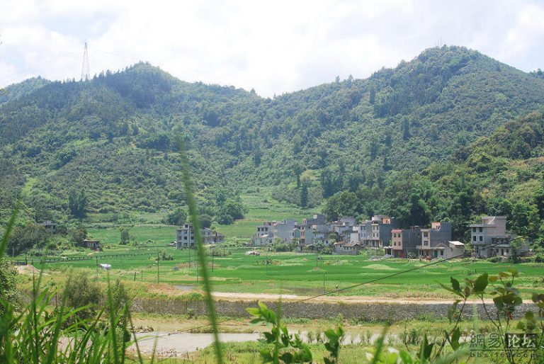 百畝良田被強征  農民走頭無路