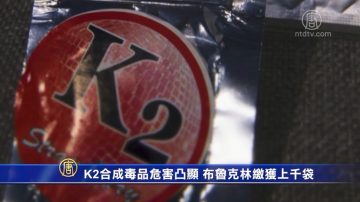 K2合成毒品危害凸显 布鲁克林缴获上千袋