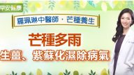 芒种多雨 台中医教你化湿除病气（视频）