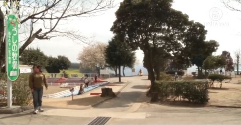 【日本你好】母親牧場