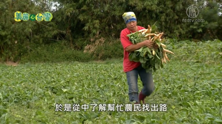 美麗心台灣：海海人生 海鹽文化結合在地農產
