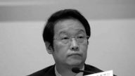 传项俊波有21名固定情妇 6个私生子只有一个是亲生