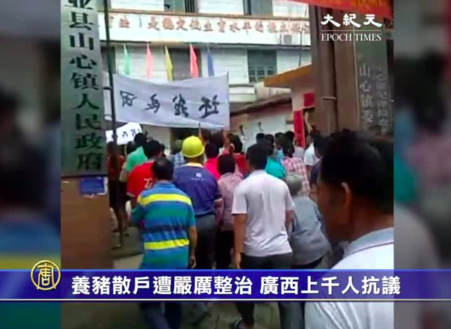 養豬散戶遭嚴厲整治 廣西上千人抗議