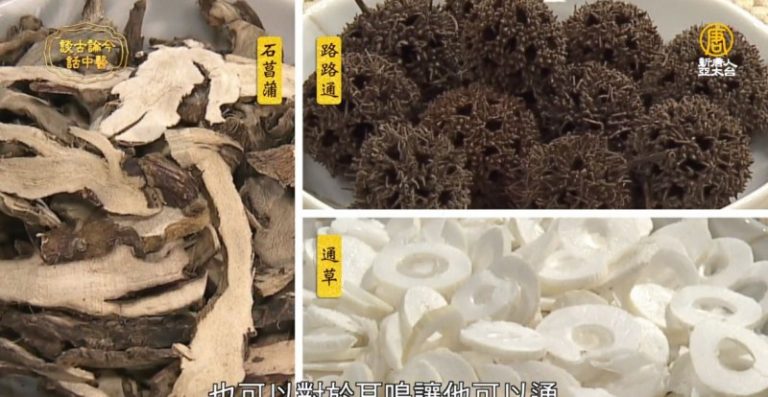談古論今話中醫：耳鳴吵到受不了 中醫治療有妙招