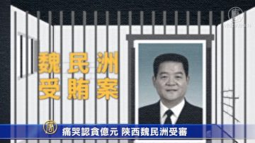 痛哭认贪亿元 陕西魏民洲受审