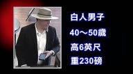 湾区爆连环劫案 男戴警徽持枪抢10多家银行