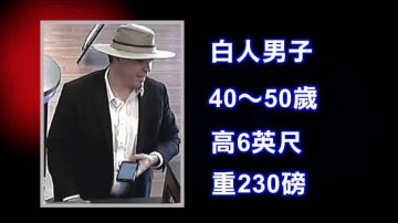 湾区爆连环劫案 男戴警徽持枪抢10多家银行