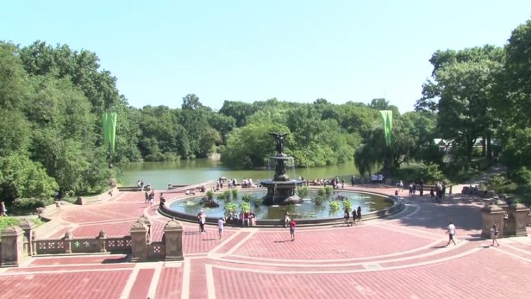 紐約香港龍舟節八月登場 中央公園點睛