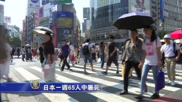 日本一週65人中暑死亡 高溫持續至8月