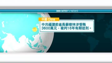 7月26日国际新闻简讯